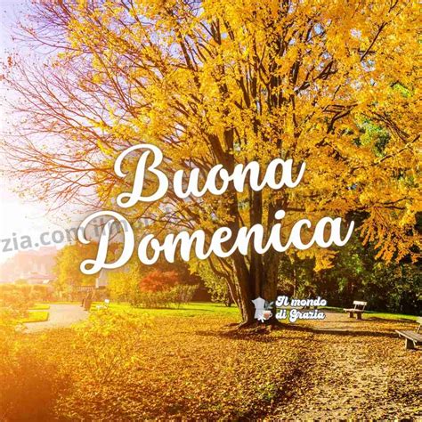 immagini di buona domenica autunnale|More.